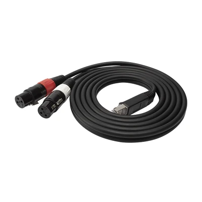 Cablu microfon RJ45 mamă la 2 XLR audio mamă